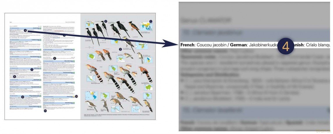 HBW and BirdLife International Illustrated Checklist of the Birds of the World vol.1 - Josep del Hoyo Calduch [KSIĄŻKA]