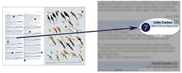 HBW and BirdLife International Illustrated Checklist of the Birds of the World vol.1 - Josep del Hoyo Calduch [KSIĄŻKA]