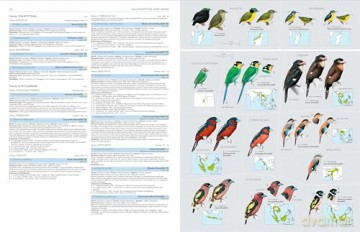 HBW and BirdLife International Illustrated Checklist of the Birds of the World vol.2: Volume 2 - Josep del Hoyo Calduch [KSIĄŻKA]