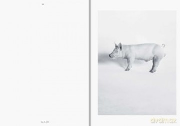 Heji Shin: THE BIG NUDES: Clarion series #8 - Heji Shin [KSIĄŻKA]