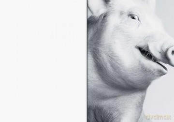 Heji Shin: THE BIG NUDES: Clarion series #8 - Heji Shin [KSIĄŻKA]
