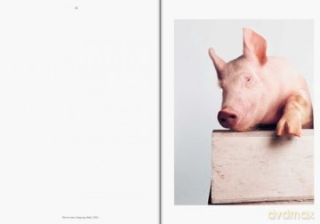 Heji Shin: THE BIG NUDES: Clarion series #8 - Heji Shin [KSIĄŻKA]