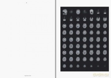 Heji Shin: THE BIG NUDES: Clarion series #8 - Heji Shin [KSIĄŻKA]