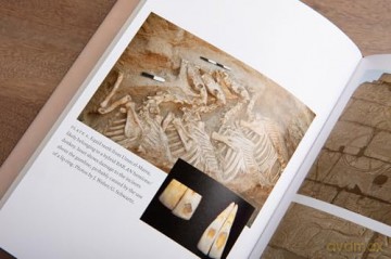 Hoof Beats: How Horses Shaped Human History - William T. Taylor [KSIĄŻKA]