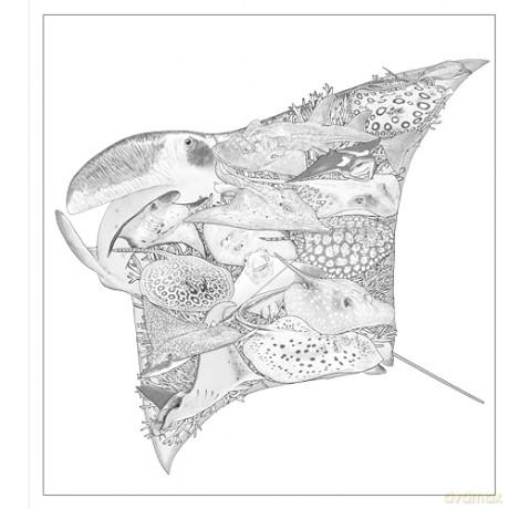 Imaginaria: In the Deep: An Artist's Coloring Book of Ocean Mysteries Inside the Lines - Simon Mendez [KSIĄŻKA]