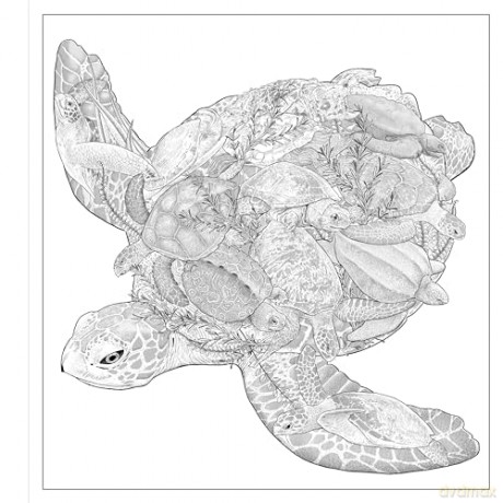 Imaginaria: In the Deep: An Artist's Coloring Book of Ocean Mysteries Inside the Lines - Simon Mendez [KSIĄŻKA]