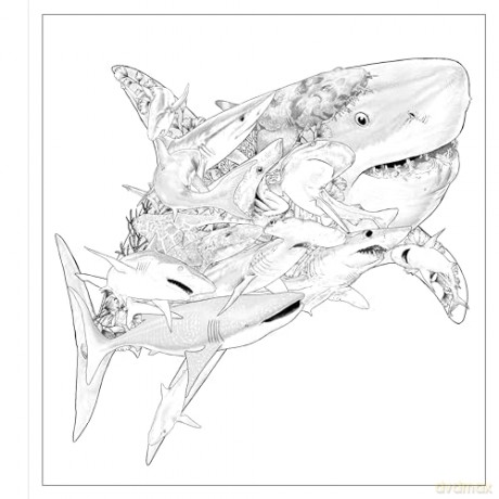 Imaginaria: In the Deep: An Artist's Coloring Book of Ocean Mysteries Inside the Lines - Simon Mendez [KSIĄŻKA]