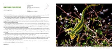 Incredible Lizards: One hundred species from around the world - Steve Wilson [KSIĄŻKA]