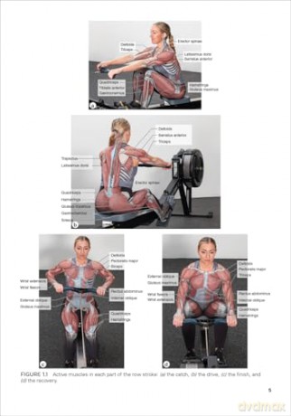 Indoor Rowing: Your Complete Guide to Training, Programming, and Workouts - Caley Crawford [KSIĄŻKA]
