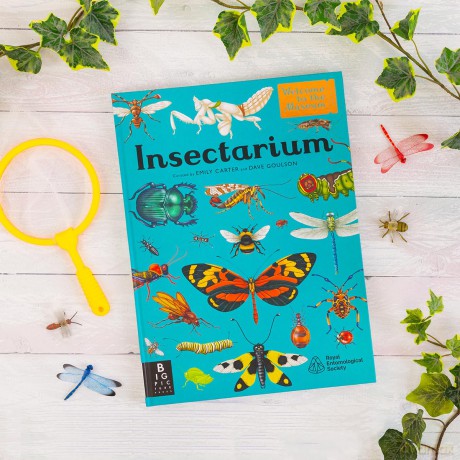 Insectarium: (Welcome To The Museum) - Dave Goulson [KSIĄŻKA]