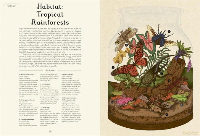 Insectarium: (Welcome To The Museum) - Dave Goulson [KSIĄŻKA]