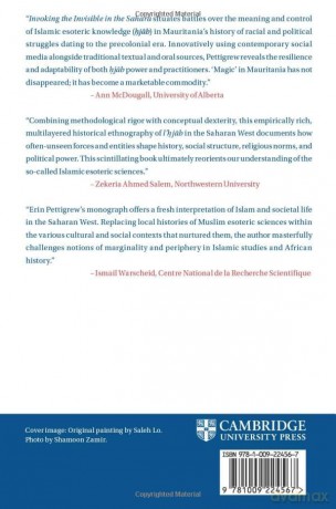 Invoking the Invisible in the Sahara: Islam, Spiritual Mediation, and Social Change: 159 (African Studies, Series Number 159) - Erin Pettigrew [KSIĄŻKA]