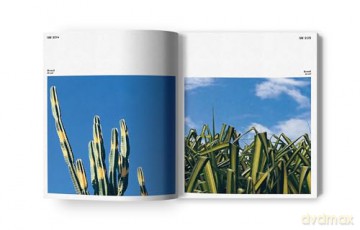 ISAY W: Isay Weinfeld - Isay Weinfeld [KSIĄŻKA]
