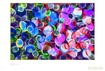 Jiri Georg Dokoupil: Venetian Bubbles - Reiner Opoku [KSIĄŻKA]
