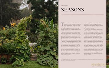 Kitchen Garden Living: Seasonal Growing and Eating from a Beautiful, Bountiful Food Garden - Bailey Van Tassel [KSIĄŻKA]