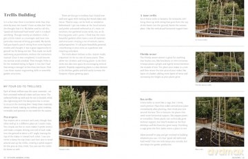 Kitchen Garden Living: Seasonal Growing and Eating from a Beautiful, Bountiful Food Garden - Bailey Van Tassel [KSIĄŻKA]
