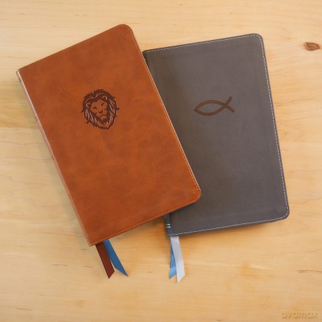 KJV Holy Bible: Thinline Youth Edition, Brown Leathersoft, Red Letter, Comfort Print: King James Version: Holy Bible, King James Version - Thomas Nelson [KSIĄŻKA]