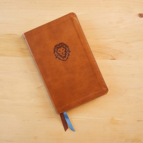 KJV Holy Bible: Thinline Youth Edition, Brown Leathersoft, Red Letter, Comfort Print: King James Version: Holy Bible, King James Version - Thomas Nelson [KSIĄŻKA]