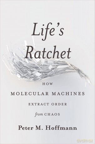 Life's Ratchet: How Molecular Machines Extract Order from Chaos - Peter Hoffmann [KSIĄŻKA]