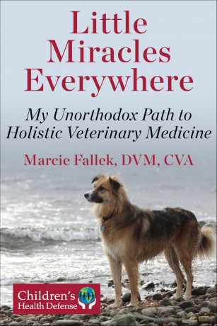 Little Miracles Everywhere: My Unorthodox Path to Holistic Veterinary Medicine - Marcie Fallek [KSIĄŻKA]