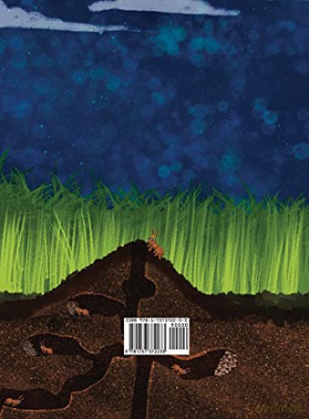 Little Seed: A Plant Life Cycle Rhyming Book - T S Riley [KSIĄŻKA]