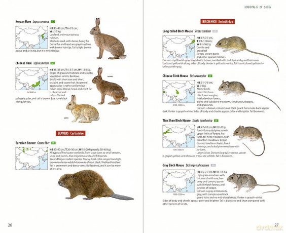 Mammals of China - Lynx Edicions [KSIĄŻKA]