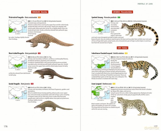 Mammals of China - Lynx Edicions [KSIĄŻKA]