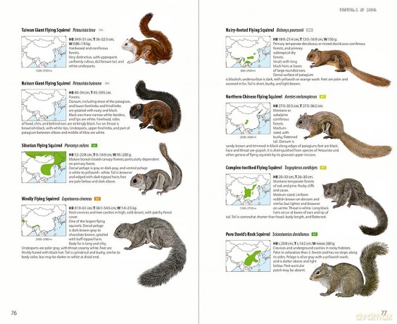Mammals of China - Lynx Edicions [KSIĄŻKA]
