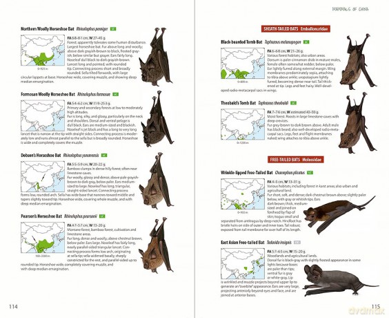 Mammals of China - Lynx Edicions [KSIĄŻKA]