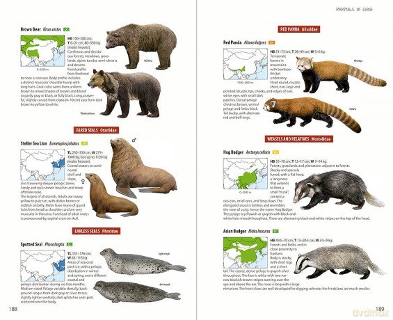 Mammals of China - Lynx Edicions [KSIĄŻKA]