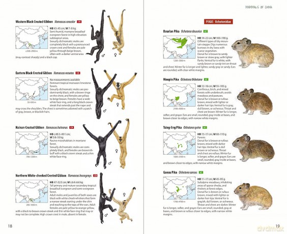 Mammals of China - Lynx Edicions [KSIĄŻKA]