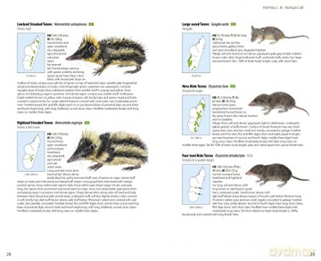 Mammals of Madagascar - Russell A Mittermeier [KSIĄŻKA]