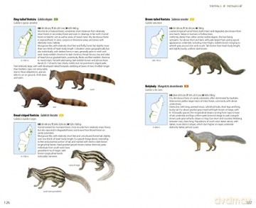 Mammals of Madagascar - Russell A Mittermeier [KSIĄŻKA]