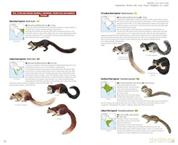 Mammals of South Asia - Lynx Edicions [KSIĄŻKA]