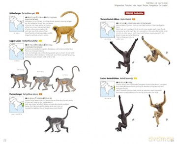 Mammals of South Asia - Lynx Edicions [KSIĄŻKA]