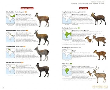 Mammals of South Asia - Lynx Edicions [KSIĄŻKA]