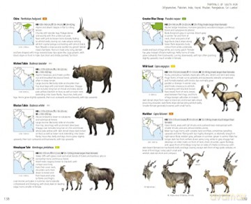 Mammals of South Asia - Lynx Edicions [KSIĄŻKA]