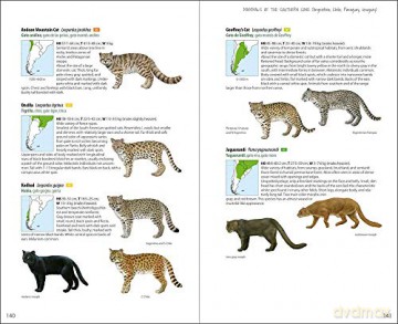 Mammals of the Southern Cone - Lynx Edicions [KSIĄŻKA]