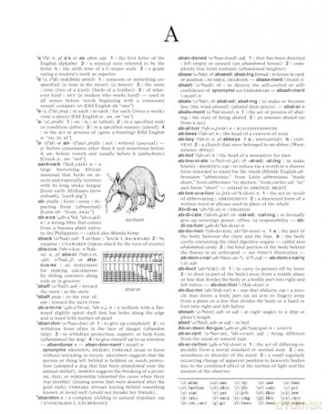 Merriam-Webster's Intermediate Dictionary: An Essential Middle School Resource - Merriam-Webster [KSIĄŻKA]