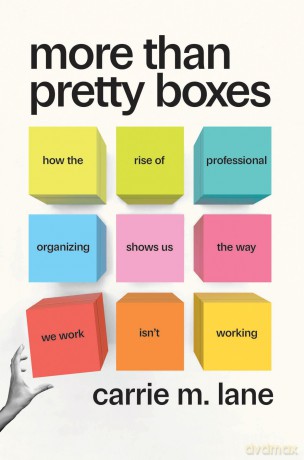More Than Pretty Boxes: How the Rise of Professional Organizing Shows Us the Way We Work Isn't Working - Carrie M. Lane [KSIĄŻKA]
