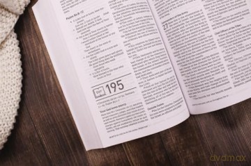 NASB, Daily Scripture, Paperback, White/Olive, 1995 Text, Comfort Print: 365 Days to Read Through the Whole Bible in a Year - Zondervan [KSIĄŻKA]