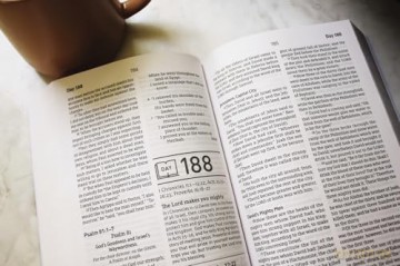 NASB, Daily Scripture, Paperback, White/Olive, 1995 Text, Comfort Print: 365 Days to Read Through the Whole Bible in a Year - Zondervan [KSIĄŻKA]
