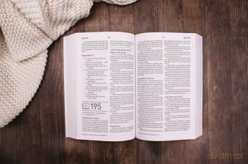 NASB, Daily Scripture, Paperback, White/Olive, 1995 Text, Comfort Print: 365 Days to Read Through the Whole Bible in a Year - Zondervan [KSIĄŻKA]