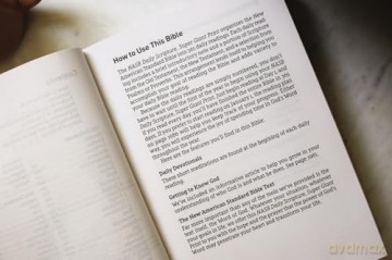 NASB, Daily Scripture, Super Giant Print, Paperback, White/Gold, 1995 Text, Comfort Print: 365 Days to Read Through the Whole Bible in a Year - Zondervan [KSIĄŻKA]