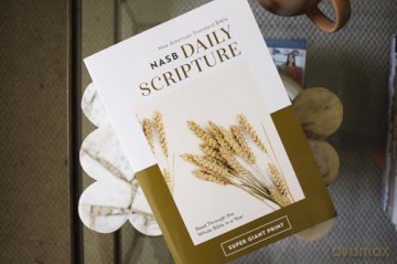 NASB, Daily Scripture, Super Giant Print, Paperback, White/Gold, 1995 Text, Comfort Print: 365 Days to Read Through the Whole Bible in a Year - Zondervan [KSIĄŻKA]