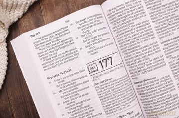 NASB, Daily Scripture, Super Giant Print, Paperback, White/Gold, 1995 Text, Comfort Print: 365 Days to Read Through the Whole Bible in a Year - Zondervan [KSIĄŻKA]
