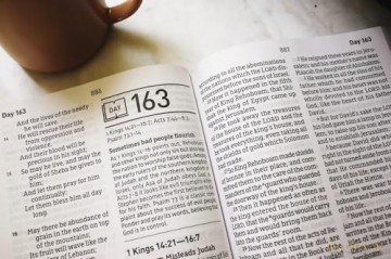 NASB, Daily Scripture, Super Giant Print, Paperback, White/Gold, 1995 Text, Comfort Print: 365 Days to Read Through the Whole Bible in a Year - Zondervan [KSIĄŻKA]