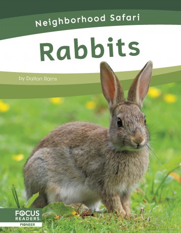 Neighborhood Safari: Rabbits (Neighborhood Safari Set 2) - Dalton Rains [KSIĄŻKA]