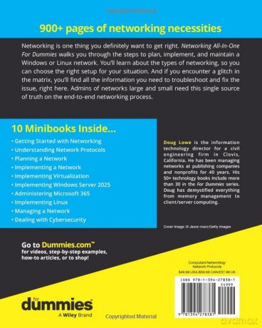 Networking All-in-One For Dummies (For Dummies (Computer/Tech)) - Doug Lowe [KSIĄŻKA]