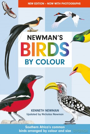 Newman's Birds by Colour: Southern Africa's Common Birds Arranged by Colour and Size - Kenneth Newman [KSIĄŻKA]